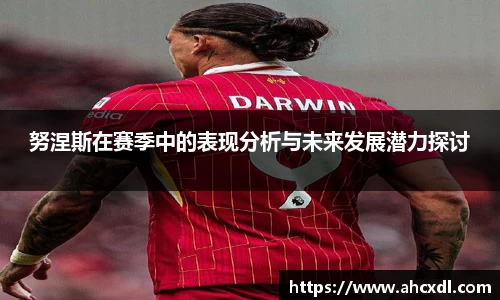 努涅斯在赛季中的表现分析与未来发展潜力探讨