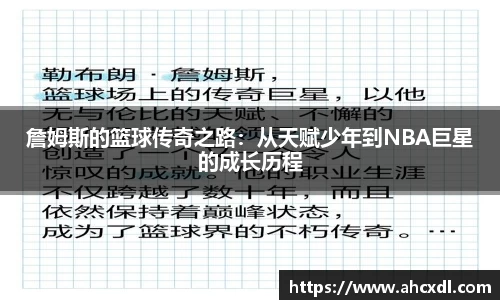半岛bob·官方